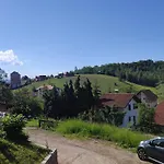 Apartman Jevtic Zlatibor