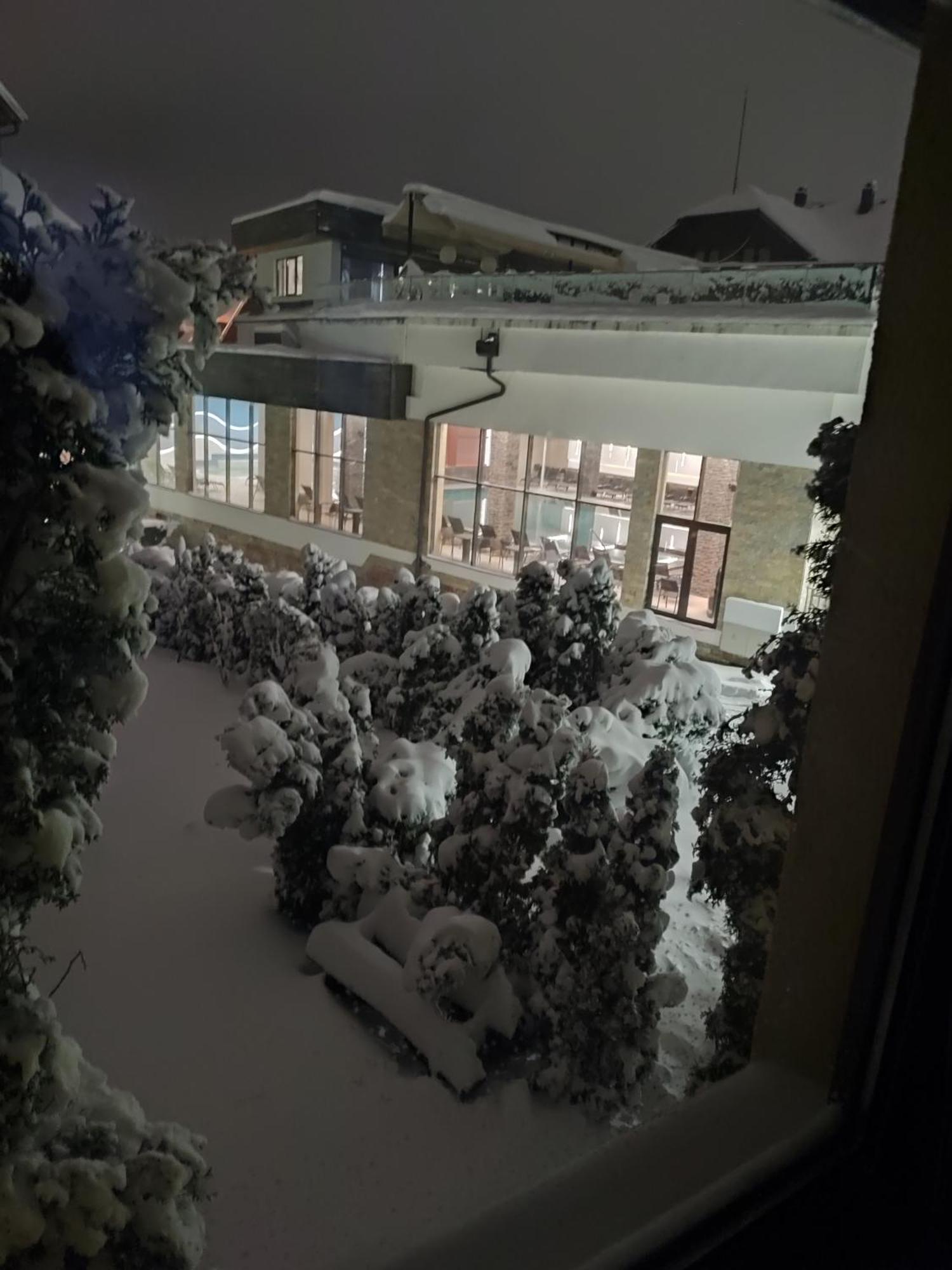 Apartment Jevtic Zlatibor